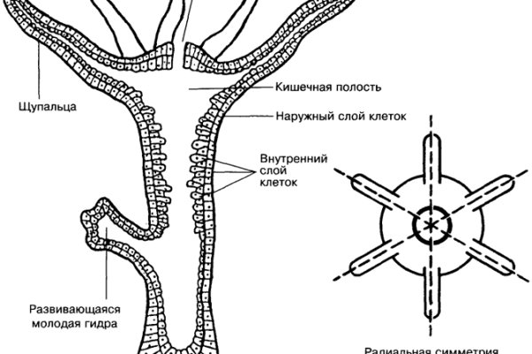 Кракен даркнет регистрация