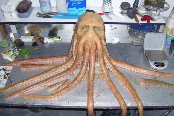 Kraken onion darknet zerkalo