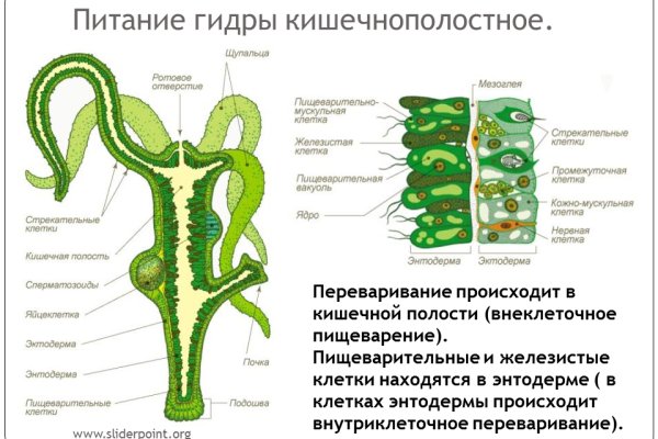 Кракен kr2web in