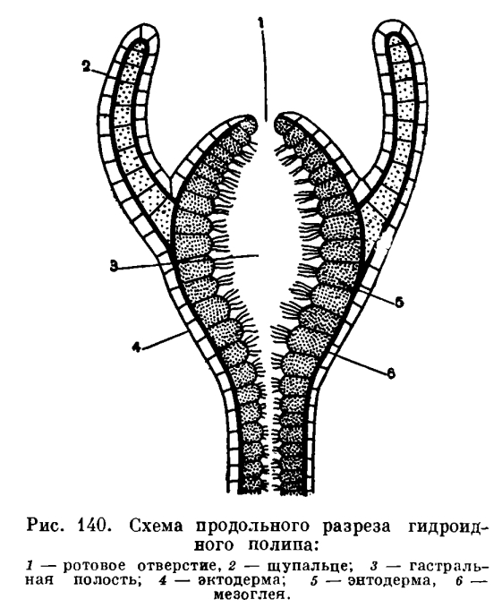 Ссылка кракен магазин