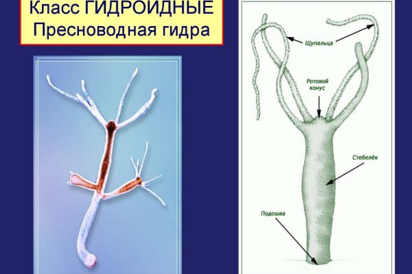 Кракен это современный даркнет